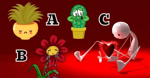 What's Your Soul Craving? Click A Sad Plant And Discover The Deep Longings Of Your Heart