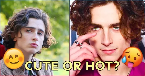 Is Timoth&eacute;e Chalamet Really A Cutie Or Hottie? The Result May Surprise You!