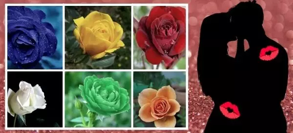 Pick A Rose And We Will Reveal If You Would Have A Kiss On The First Date
