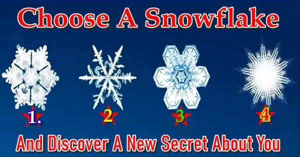 Escolha Um Floco De Neve E Descubra Um novo E Surpreendente Segredo Sobre Voc&ecirc;