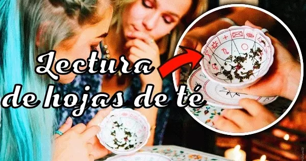 Lectura De Hojas De Te |Revelamos Tu Futuro Tomando Este Test De Lectura De Hojas De T&eacute; M&aacute;gico