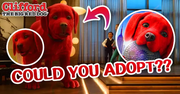 Could You Adopt Clifford The Big Red Dog?