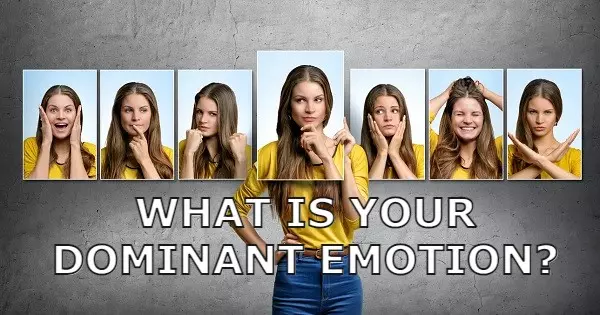 What Is Your Dominant Emotion?
