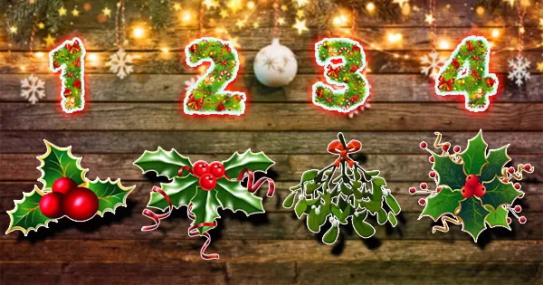 Tell Us Your Favorite Mistletoe And Reveal Which Christmas Miracle Awaits You!