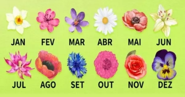 Guia de Flores do M&ecirc;s | Como a Flor do Seu M&ecirc;s Iluminar&aacute; Sua Mente e Alma?