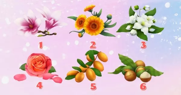 Picture This| &iquest;Cu&aacute;l Es Tu Poder M&aacute;gico De Amor? &iexcl;Toca Plantas Medicinales Para Descubrirlo!