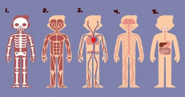 Qual Parte do Seu Corpo Voc&ecirc; N&atilde;o Poderia Viver Sem? Suas Respostas Dizem  O Que Mudar Na Sua Vida.