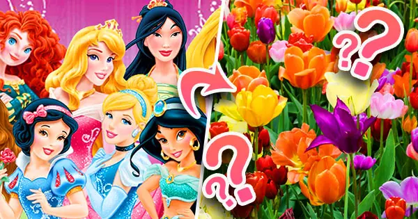 Every Disney Princess Reminds People Of A Kind Of Flower, What Is Yours?