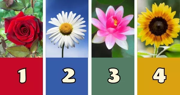 Escolha Uma Flor E Descubra Qual &Eacute; A Sua Linguagem Do Amor! 100% De Precis&atilde;o!