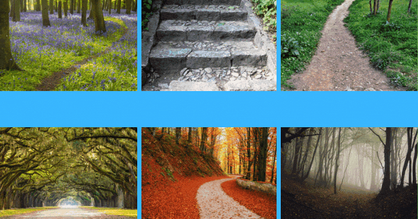 Choose A Path To Be Followed And Discover The Secret To Your Happiness