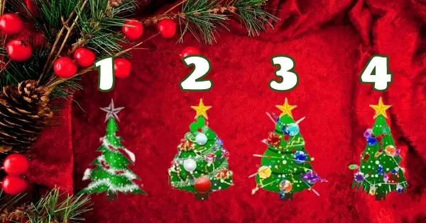 Pick A Christmas Tree And Receive A Message For This New Year