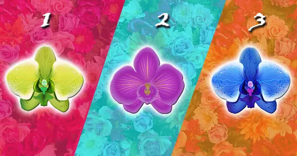 La Orqu&iacute;dea Que Elijas Revelar&aacute; Lo Que Le Falta A Tu Vida Para Crear Un Feliz Nuevo Comienzo