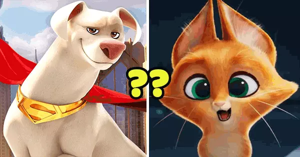 Decorate Your Pet House To Discover Which DC League Of Super Pet Matches Your Vibe?