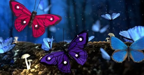 Toque Em Uma Borboleta Misteriosa E Descubra O Que O Destino Lhe Trar&aacute; Em 2022? Amor Ou Dinheiro?