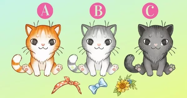 Por Que As Pessoas Gostam De Voc&ecirc;? Escolha O Gato Mais Fofo Para Descobrir! 100% De Precis&atilde;o!