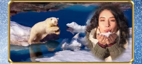 Now's Your One And Only Chance To Experience Antarctica - Play In The Snow With This Gorgeous Polar Bear!