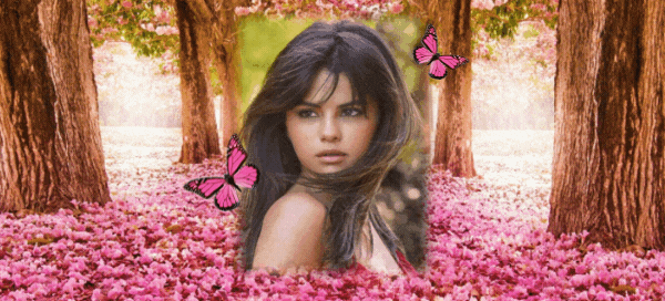 Sieh jetzt dein sch&ouml;nes Gesicht in dieser rosa Blumenlandschaft - Kostenloser Download!