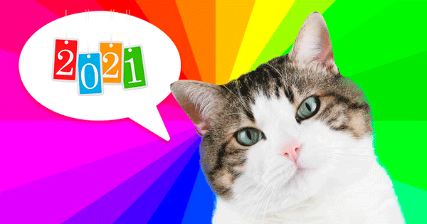 Diz-nos A Tua Cor Favorita E Podemos Adivinhar O Que 2021 Te Ensinou!