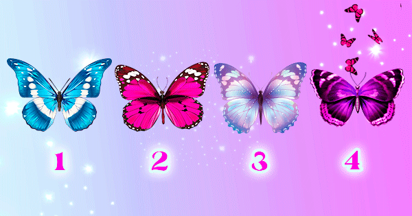 Your Favorite Butterfly Will Uncover Which Divine Message Awaits You