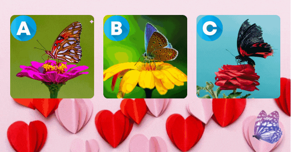 Touch A Mysterious Butterfly And Determine What Fate Will Bring You In 2022? Love Or Fortune?