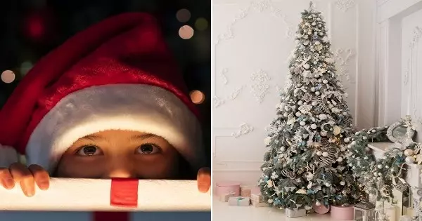 What Type Of Christmas Tree Are You Based On Your Personality?