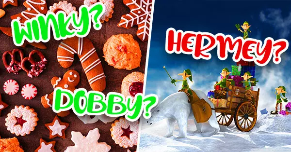 Bake Some Cookies And We Will Tell You What The Name Of The Elf Is