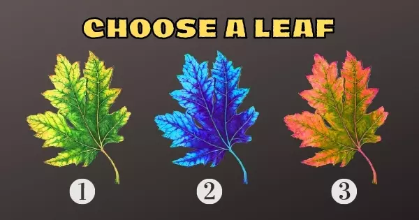 What Will Your Loving Life Be Like In 2022? Choose a Magic Leaf to Discover!