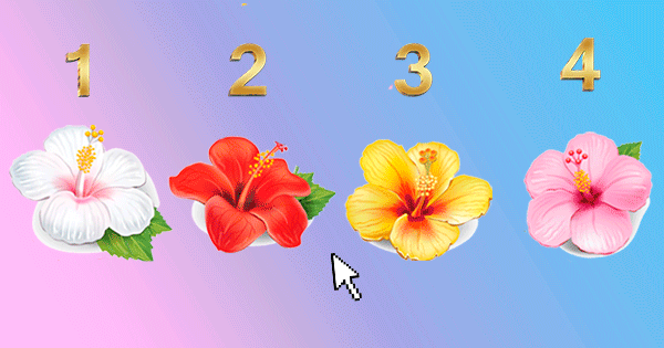 Pick Your Favorite Hibiscus Flower To Reveal Why You're Unable To Find True Love