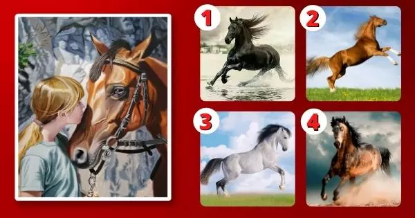 What Is Your Highest Quality In Life? It Depends On Which Horse You Will Choose!