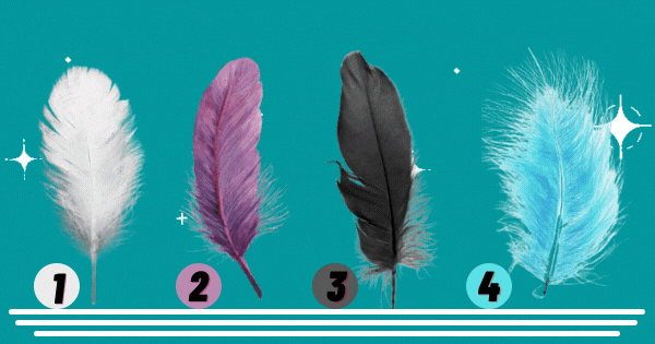 Discover Your Hidden Secrets by Choosing Your Favorite Feather Color