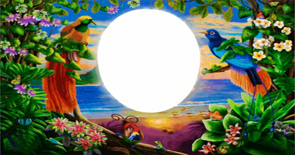 See Your Beautiful Face In The Stunning Sunrise! Totally Free!