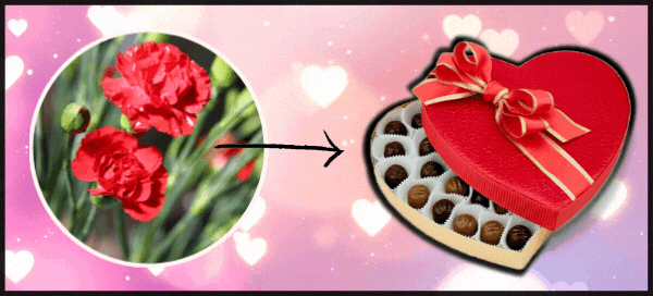 W&auml;hle deine Geburtsblume aus, um herauszufinden, wer dich an diesem Valentinstag mit einem wunderbaren Geschenk &uuml;berraschen wird!