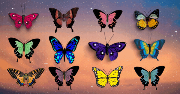 A Borboleta do Seu M&ecirc;s de Nascimento Tem Uma Revela&ccedil;&atilde;o Importante Para Voc&ecirc;