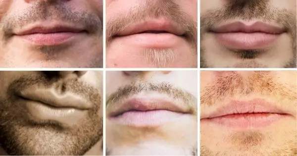 Escolha O L&aacute;bio Mais Atraente e Encontre O Seu Homem Ideal! 100% De Precis&atilde;o!