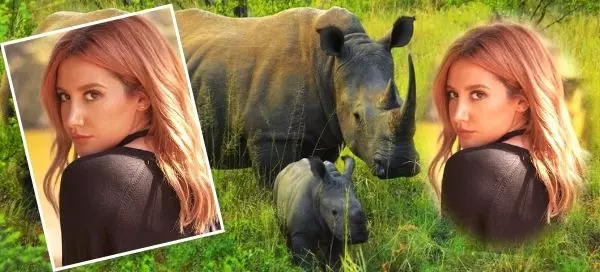 🦏 Fai Un Selfie Con Questo Fantastico Rinoceronte E Il Suo Piccolo - Cos&igrave; Carino!