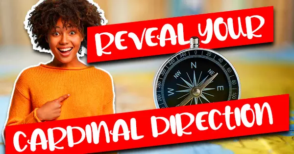 Answer Some Questions And We'll Reveal Your Cardinal Direction Personality!