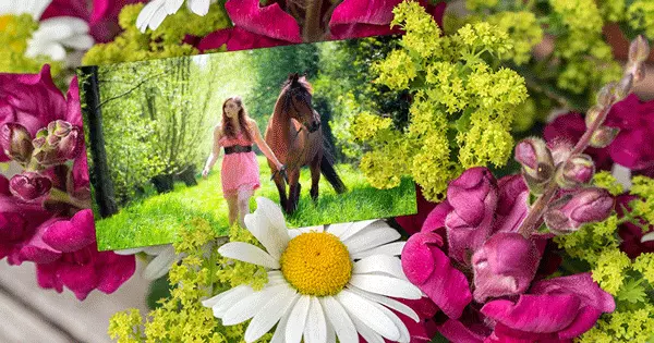 Greeting Card With Flowers