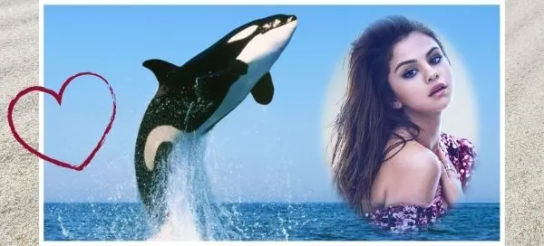 🐋 Breach The Ocean With This Massive Killer Whale - Try Now!