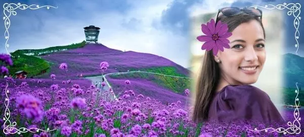 🌼 Entspanne dich in diesem duftenden Blumenfeld im wundersch&ouml;nen China