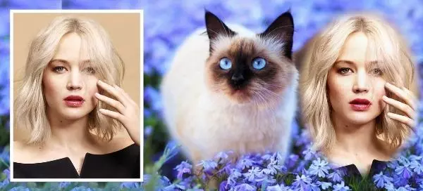 🐱 Corri Nei Campi Fioriti Insieme A Questo Fantastico Micetto Dagli Occhi Blu