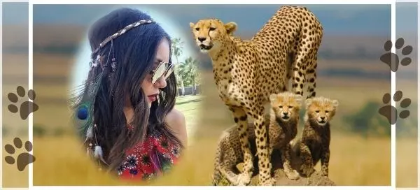 🐆 Prova A Tenere Il Passo Di Questa Mamma Ghepardo E I Suoi Cuccioli - Download Gratis!