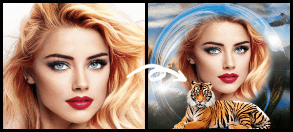 🐯 Take A Photo With This Beautiful Big Tiger In This Crystal Bubble