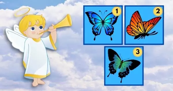 Receba Uma Mensagem Espiritual Da Borboleta Que Voc&ecirc; Escolher