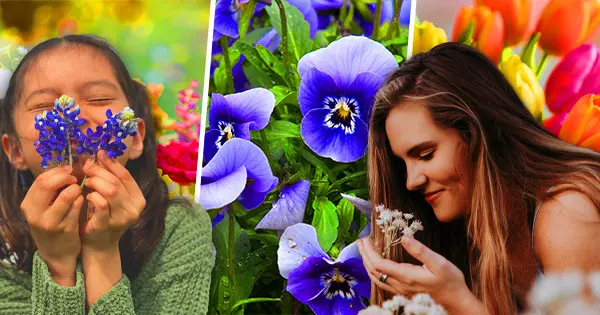 Qual Flor De Primavera Representa Seu Esp&iacute;rito De Primavera?