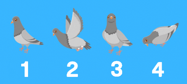 Choose A Dove To Get A Guiding Message From God To Deal With Your Current Life Trouble