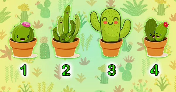 What Is Your Inner Voice Trying To Warn You About? Touch Your Favorite Cactus To See! 🌵