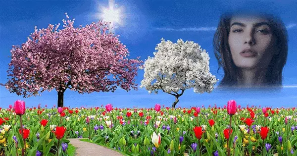 Flowers Bathed In The Spring Sunshine With You