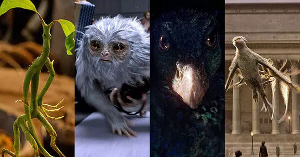 Which Fantastic Beast Are You?