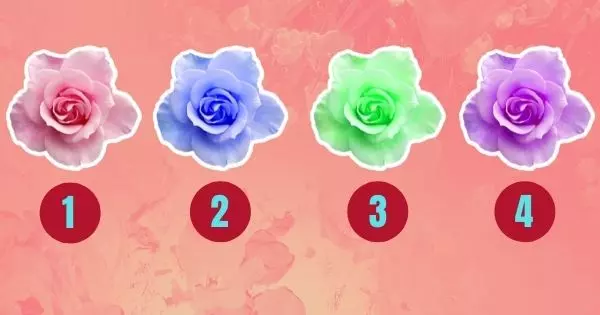 Touch A Rose Flower And Find Out A Sad Truth About Yourself
