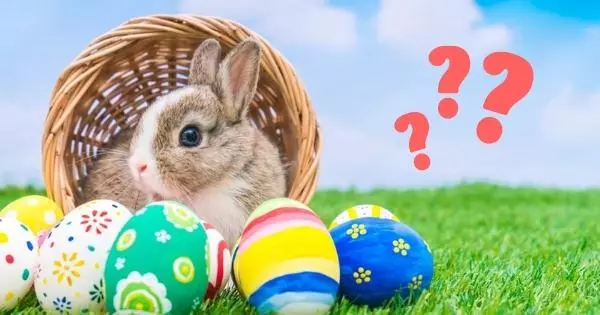 Which "Easter Bunny" You Are Most Like?